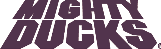 Mighty Ducks of Anaheim 1993-2006 Wordmark Logo iron on transfers for clothing